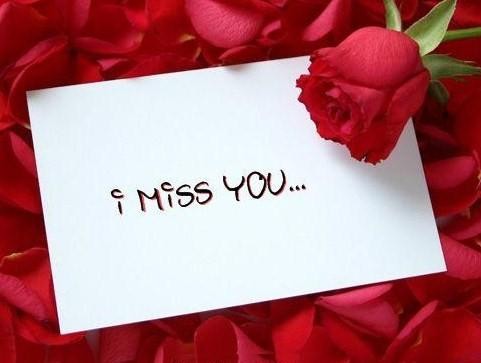 Here's an alt tag for the image: `I miss you card with rose`