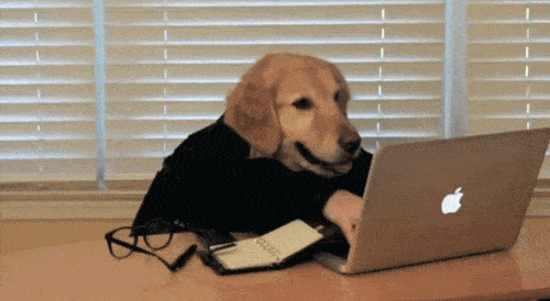 Dog working on laptop computer.